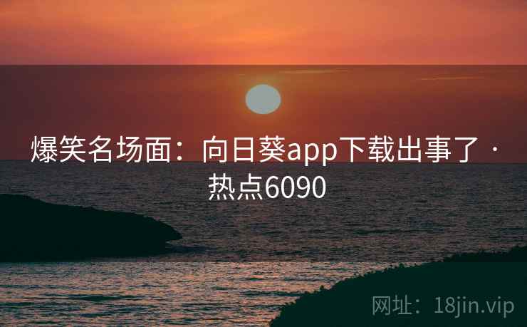 爆笑名场面：向日葵app下载出事了 · 热点6090
