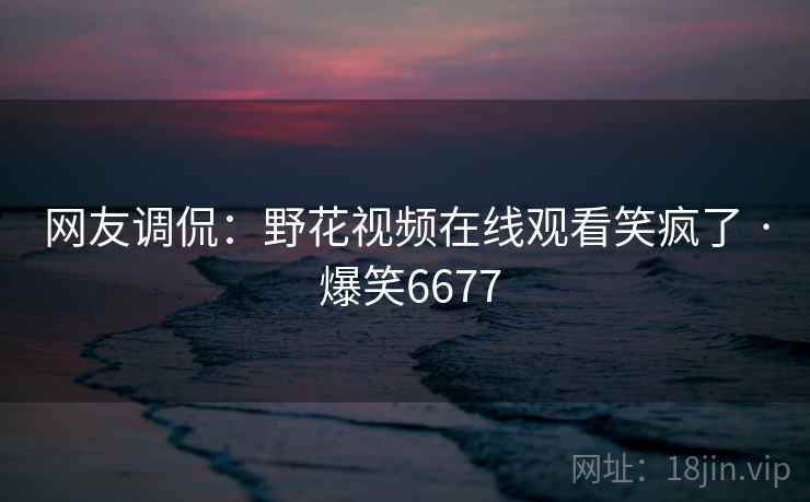 网友调侃：野花视频在线观看笑疯了 · 爆笑6677