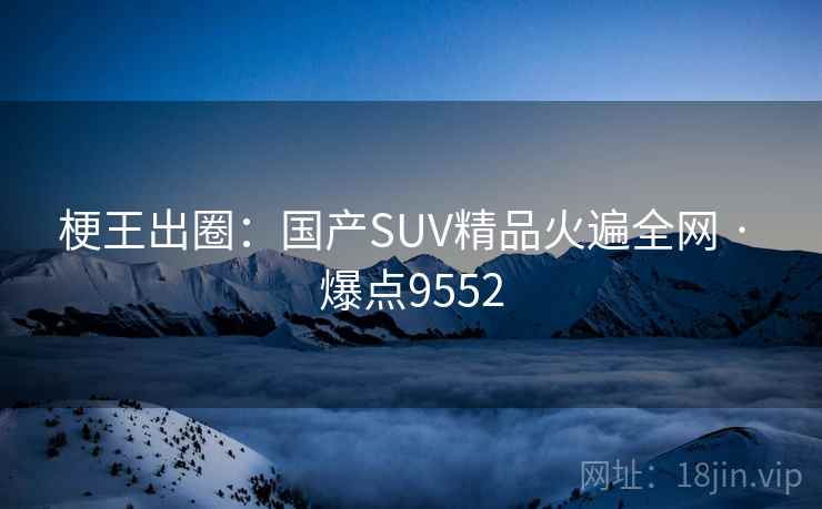 梗王出圈：国产SUV精品火遍全网 · 爆点9552